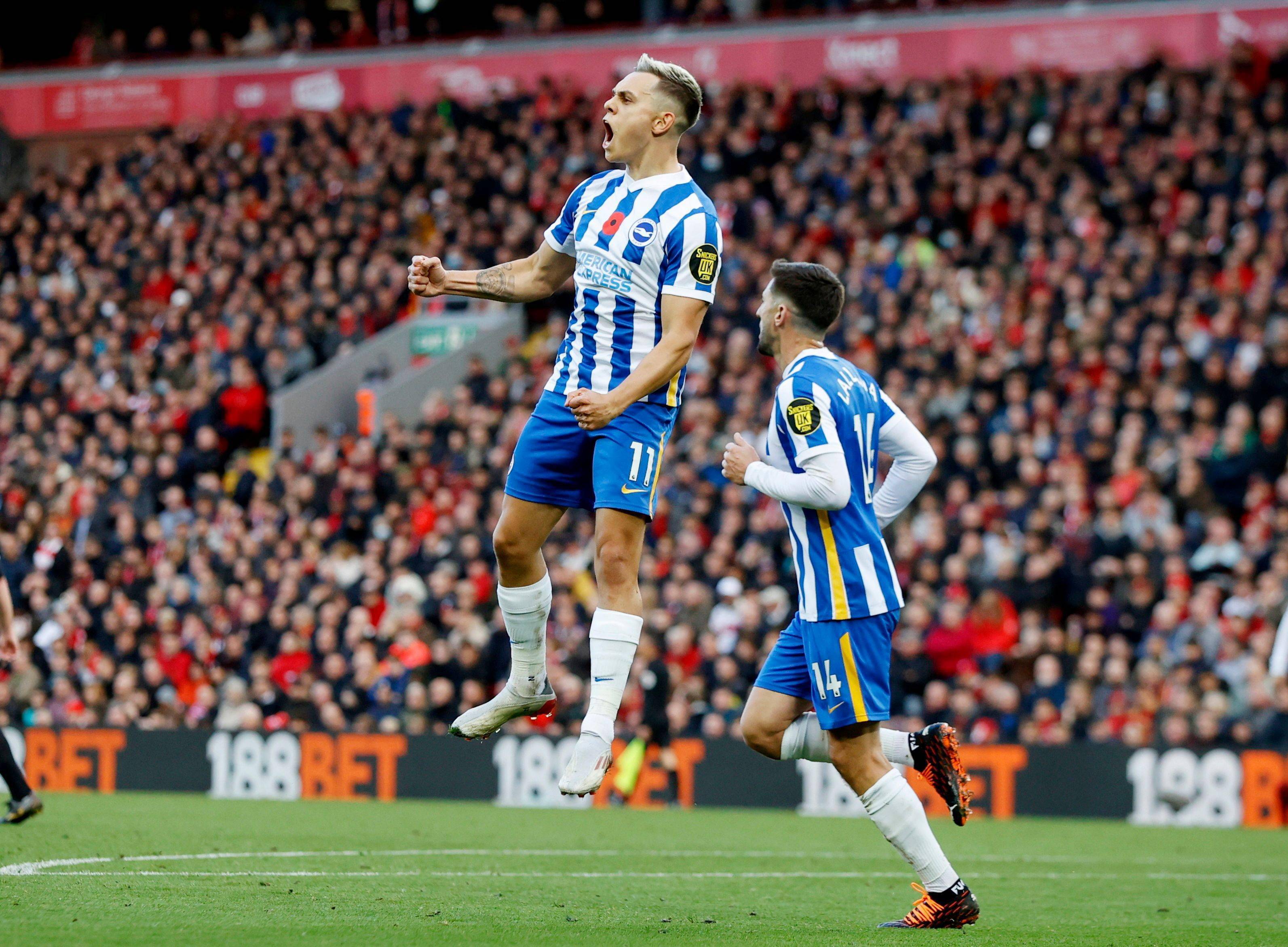 坚韧态度值 坚韧态度值