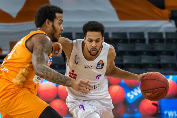 他们将有机 他们将有机